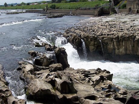 Mataura River