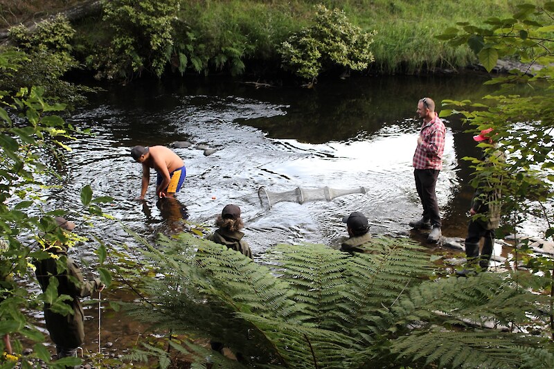 Kaloni Taylor setting the hīnaki while the other tauira watch and support.