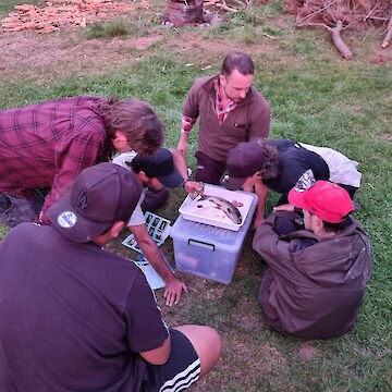 Matt Dale dissecting a trout and showing tauira.