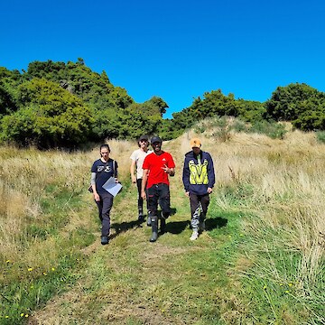 Oreti Tōtara Dune Forest reserve hīkoi.