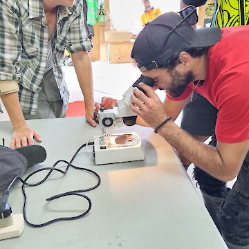 Raniera Smyth looking at an insect under microscope, with direction from Jesse Bythell.