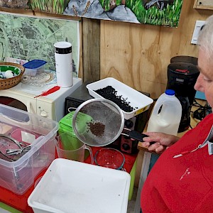 Chris Rance showing tauira the process of drying seeds.