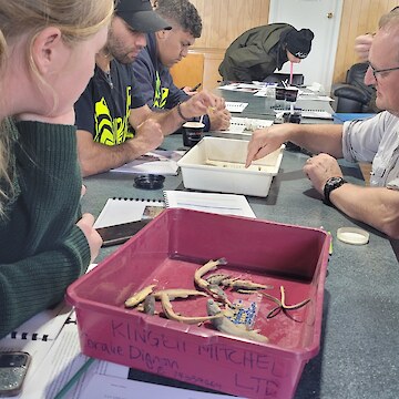 Tauira and staff participating in fish identification.