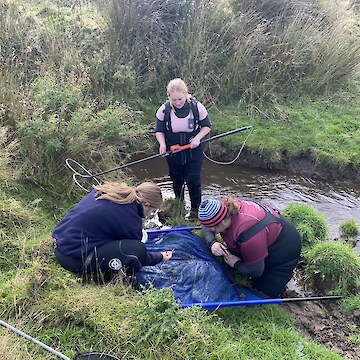 Libby Young, Mollie Lyders and Kelsi Hayes checking net for fish.