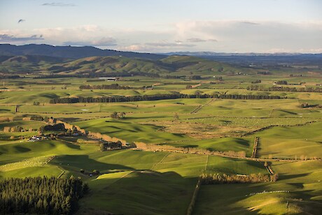 The view from the Forest Hill Reserve.