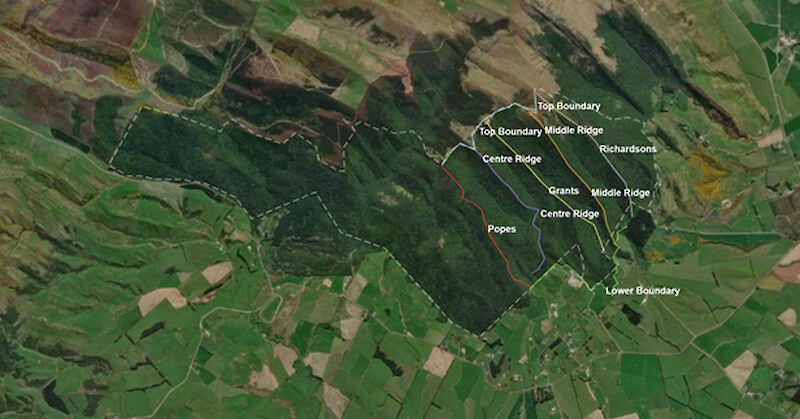 Map of Haumuri (Croydon Bush) trapping lines.