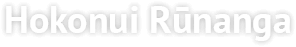 Hokonui Rūnanga